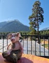 A toy cute pig against the backdrop of a mountain sits on a table on the balcony. Funny photo. Tourist toy Royalty Free Stock Photo