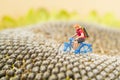 Toy cyclist ecotourism concept