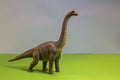 Toy dinosaur in a toy forest. like a real T-rex on a bright studio background with wooden trees. Eco toys.
