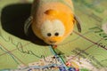 Toy dog is looking for a path on the map. Travel themed abstraction.