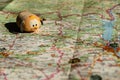 Toy dog is looking for a path on the map. Travel themed abstraction.