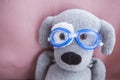 Toy dog swimming pool glasses Royalty Free Stock Photo
