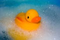 Toy duck in the bath Royalty Free Stock Photo