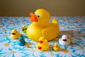 Toy duck family on flowery ground