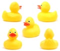 Toy Ducks Royalty Free Stock Photo