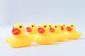 Toy ducks standing together in a row. Teamwork and togetherness concept Royalty Free Stock Photo