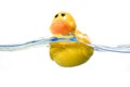 Toy Ducky in water Royalty Free Stock Photo