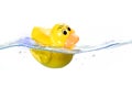 Toy Ducky in water Royalty Free Stock Photo