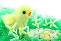 Toy Easter Chick With Flowers And Candy