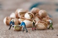 Toy figures of lumbermen with a peanut Royalty Free Stock Photo