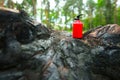 Toy fire extinguisher on a charred tree stump Royalty Free Stock Photo