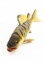 Toy-fish on white background. Realistic animal toy of fish