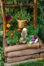 Toy with flowers for a well in the yard