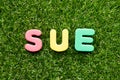 Toy foam letter in word sue on grass background