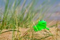 Toy Frog Royalty Free Stock Photo