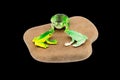 Toy frogs on a stone Royalty Free Stock Photo