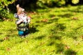 Toy garden gnome with a shovel on a sunny green lawn. Space for lettering and design