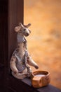 Toy giraffe with a cup of cocoa Royalty Free Stock Photo