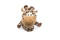 Toy giraffe white background