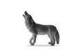 Toy gray howling wolf isolated on white background Royalty Free Stock Photo