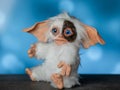 toy Gremlin Gizmo, hand made in a mixed technique from faux fur and polymer clay Royalty Free Stock Photo