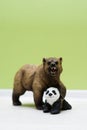 A toy grizzly bear protects a toy little panda