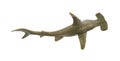 Toy hammerhead shark Royalty Free Stock Photo
