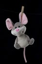 The toy is hanging on a clothespin and dries, clothespins in a plate or bowl, on a white and black background, on a rope