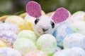 Toy hare with colored eggs. Christian Easter holiday Royalty Free Stock Photo