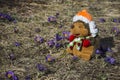 Toy hedgehog in flowers field. Spring flowers