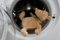 Toy Hedgehog in Washing Machine