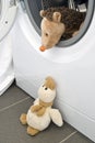 Toy Hedgehog in Washing Machine With Duck