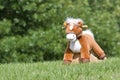 Toy horse