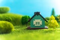 A toy house on green grass in fictional world