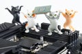 Toy kittens hold computer processor next to the socket for installing it on the motherboard. Assembling, overclocking and