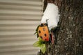 Toy lady bug with black dots holding snowdrift over head climbing along tree trunk