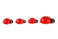 Toy ladybirds Royalty Free Stock Photo