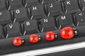 Toy ladybirds on computer keyboard Royalty Free Stock Photo