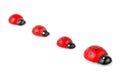 Toy ladybirds Royalty Free Stock Photo