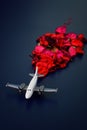 Toy light twin-engine aircraft with red flower petals on a dark blue background. Toy concept plane crash and fire. Concept of Royalty Free Stock Photo