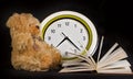 Toy - a little bear, clock and the book