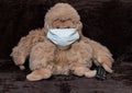 Toy monkey in a medical mask with TV remote control Royalty Free Stock Photo