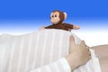 Toy monkey peeks over white striped pregnant belly