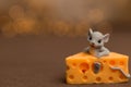 A toy mouse sits in cheese on a wooden starry background, a symbol of 2020. Royalty Free Stock Photo