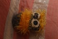 This toy owl is crocheted of yellow and brown threads. The eyes are made of buttons. Royalty Free Stock Photo