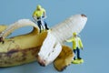 Toy people - workers with a jackhammer peel a yellow overripe banana. Toy micro-world. Selective focusing