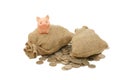 Toy pig with bags of money Royalty Free Stock Photo