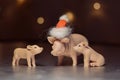 Toy pig in Santa`s cap