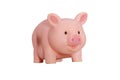 toy pink pig isolated on a white background Royalty Free Stock Photo