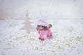 Toy pink poodle on a white background